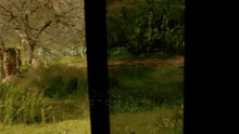 Load image into Gallery viewer, B1 RANGER GREEN belt